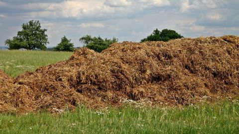 Le stockage du fumier au champ est soumis à de nombreuses règles. (©Pixabay) Le stockage du fumier au champ est soumis à de nombreuses règles. (©Pixabay)