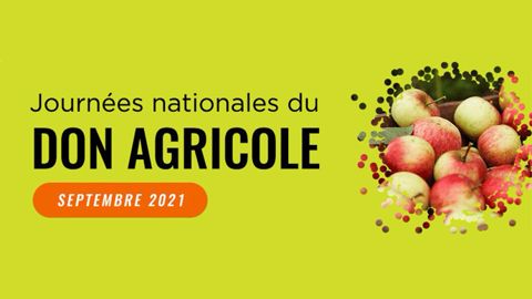 La 7e édition des Journées nationales du don agricole se poursuivent jusqu'au 30 septembre. (©Solaal) La 7e édition des Journées nationales du don agricole se poursuivent jusqu'au 30 septembre. (©Solaal)