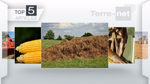Articles les plus lus sur Terre-net cette semaine. (©Terre-net Média)