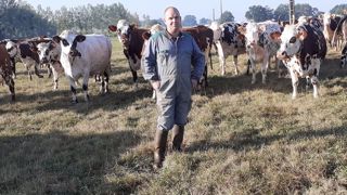 Olivier Balard élève, avec ses deux associés, 180 vaches normandes sur 160 ha de surface fourragère, dont 100 ha d'herbe. (©Olivier Balard) Olivier Balard élève, avec ses deux associés, 180 vaches normandes sur 160 ha de surface fourragère, dont 100 ha d'herbe. (©Olivier Balard)