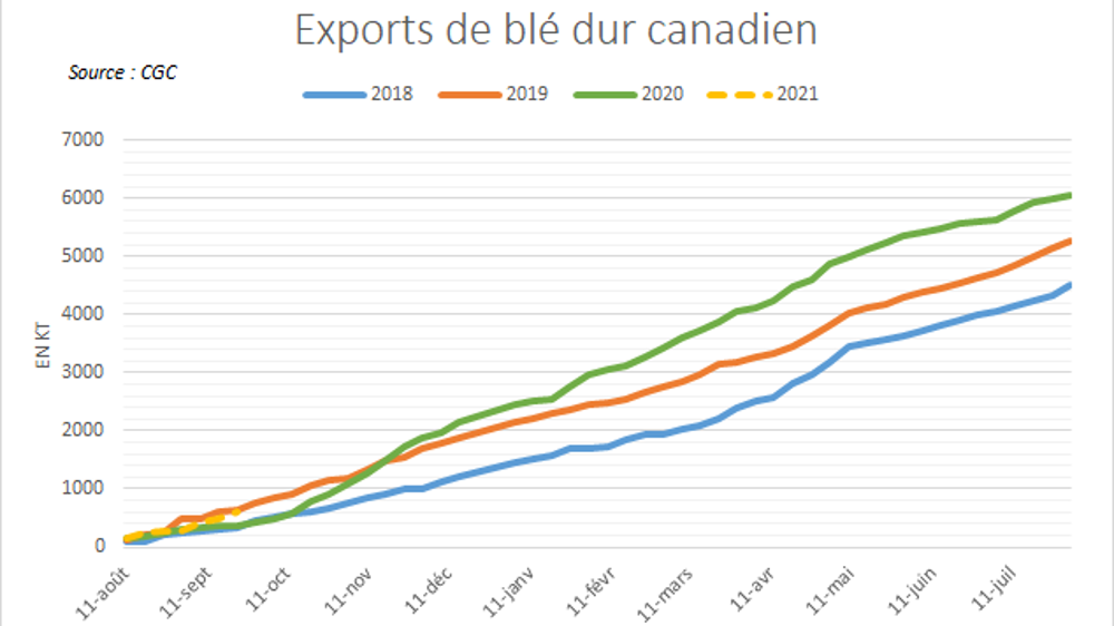 Exports de blé dur canadiens.