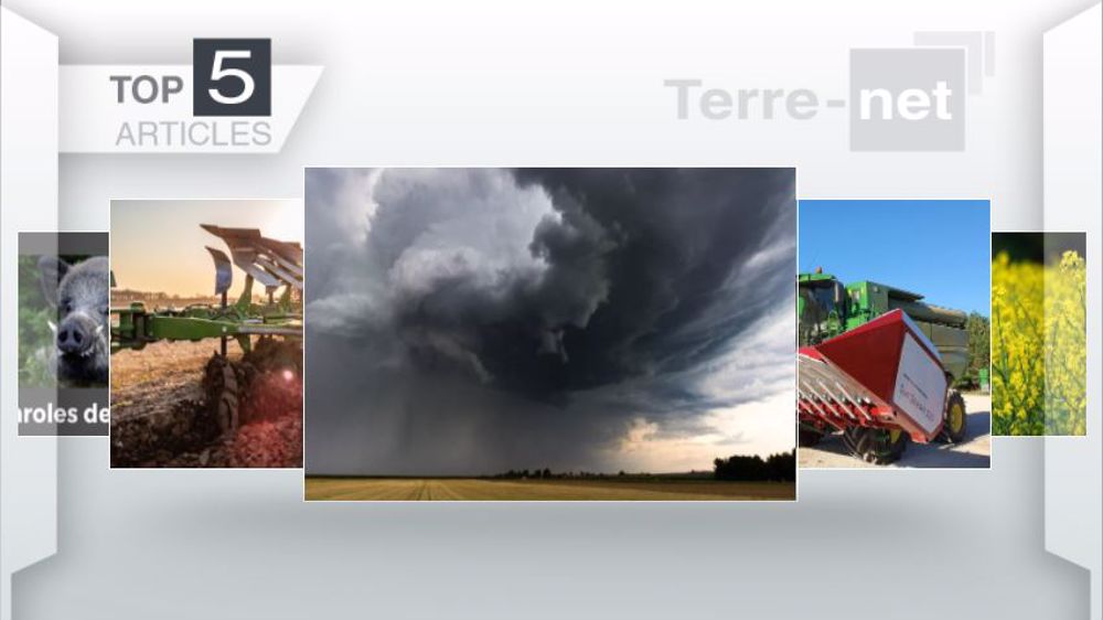 Articles les plus lus sur Terre-net cette semaine. (©Terre-net Média)