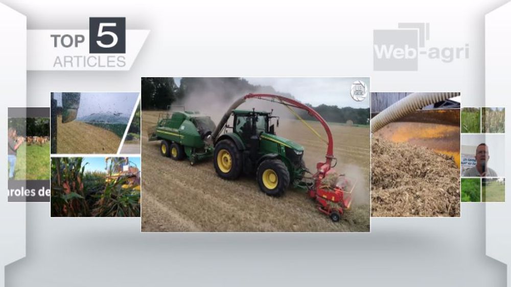 Articles les plus lus sur Web-agri cette semaine. (©Terre-net Média)