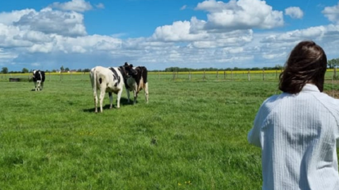 « De la visibilité pour s'installer » en lait « De la visibilité pour s'installer » en lait
