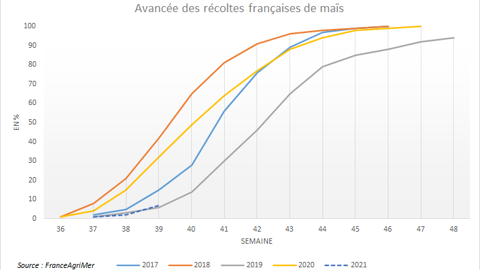 Avancée des récoltes françaises de maïs.