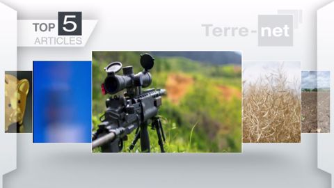 Articles les plus lus sur Terre-net cette semaine. (©Terre-net Média)