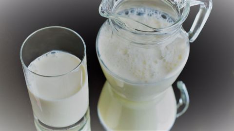 Biolait demande aux Français d'acheter un pack de lait bio pour permettre aux éleveurs laitiers bio de vivre décemment, dans un contexte de crise de croissance. (©Pixabay) Biolait demande aux Français d'acheter un pack de lait bio pour permettre aux éleveurs laitiers bio de vivre décemment, dans un contexte de crise de croissance. (©Pixabay)