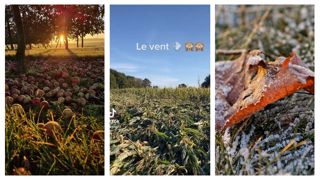 Tempête, pluie, brouillard, gel .. l'automne est bien arrivé ! Tempête, pluie, brouillard, gel .. l'automne est bien arrivé !