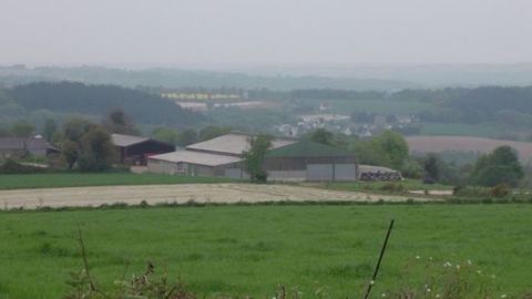 Les cédants sont souvent un peu dans le brouillard quant au prix de reprise de leur ferme. (©Terre-net Média) Les cédants sont souvent un peu dans le brouillard quant au prix de reprise de leur ferme. (©Terre-net Média)