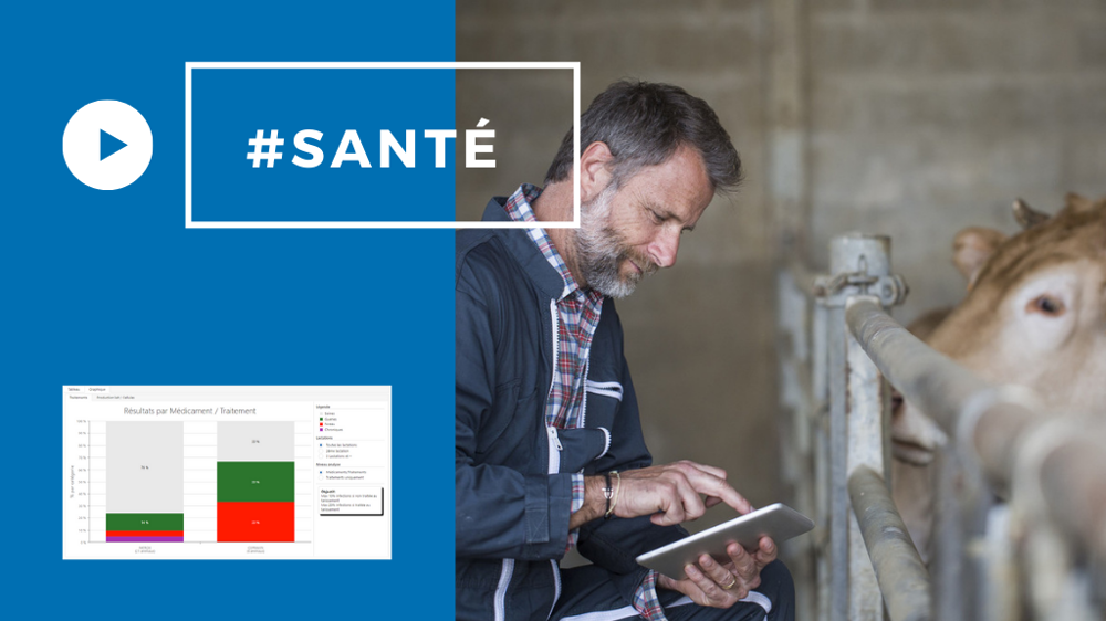 L'intérêt du cahier sanitaire numérique en questions. (©365FarmNet)