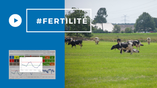 Les indicateurs de reproduction en questions. (©365FarmNet)<span style="font-size: 14px; text-align: justify; color: #000000;"> Les indicateurs de reproduction en questions. (©365FarmNet)<span style="font-size: 14px; text-align: justify; color: #000000;">