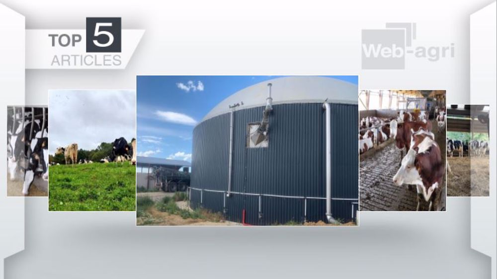 Articles les plus lus sur Web-agri cette semaine. (©Terre-net Média)
