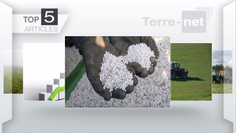 Articles les plus lus sur Terre-net cette semaine. (©Terre-net Média)