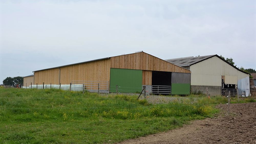 Les conditions de travail et le logement des animaux sont les principales motivations dans la construction de nouveaux bâtiments d'élevage. (©Terre-net Média)