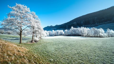 La semaine prochaine sera marquée par l'arrivée du froid sur la France. (©Pixabay)