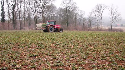 Pour mesurer au mieux les besoins en azote des colzas, « une estimation de la quantité d'azote absorbé est recommandée à l'entrée et à la sortie de l'hiver », surtout dans les secteurs concernés par un gel hivernal fréquent. (©Terre-net Média) Pour mesurer au mieux les besoins en azote des colzas, « une estimation de la quantité d'azote absorbé est recommandée à l'entrée et à la sortie de l'hiver », surtout dans les secteurs concernés par un gel hivernal fréquent. (©Terre-net Média)