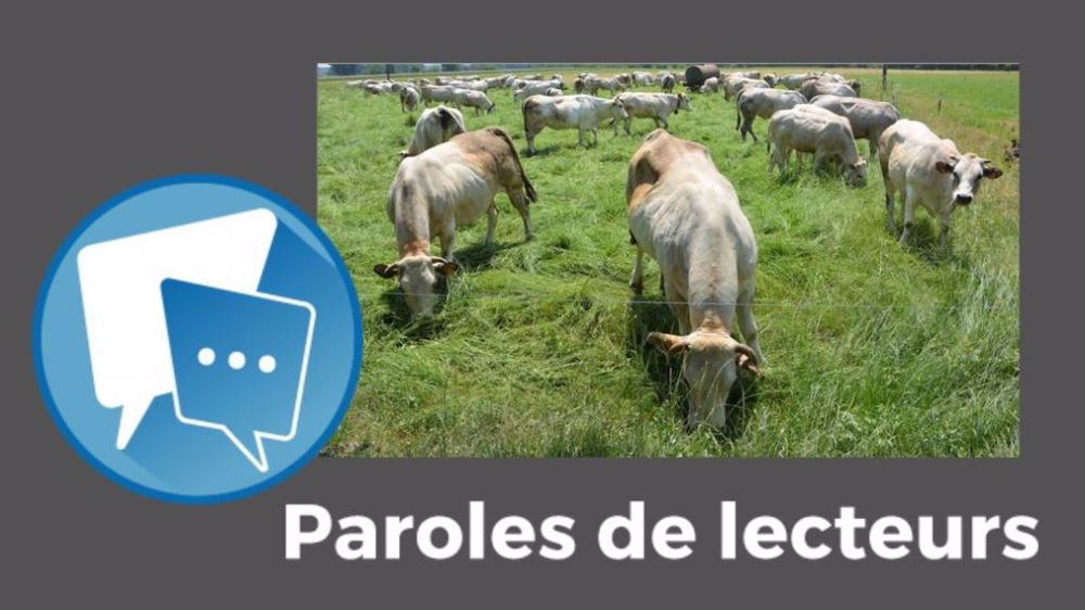  « Objectif atteint, voire dépassé, pour notre commune avec déjà 40 % de vaches allaitantes en moins !! », témoigne Jean-Marc Griveaux. (©Terre-net Média)