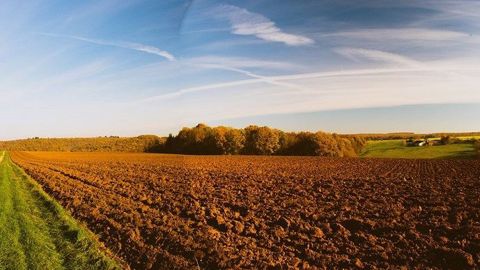 Octobre 2021 a été très ensoleillé et "normalement" arrosé, mais avec de fortes disparités géographiques. (©Pixabay) Octobre 2021 a été très ensoleillé et "normalement" arrosé, mais avec de fortes disparités géographiques. (©Pixabay)