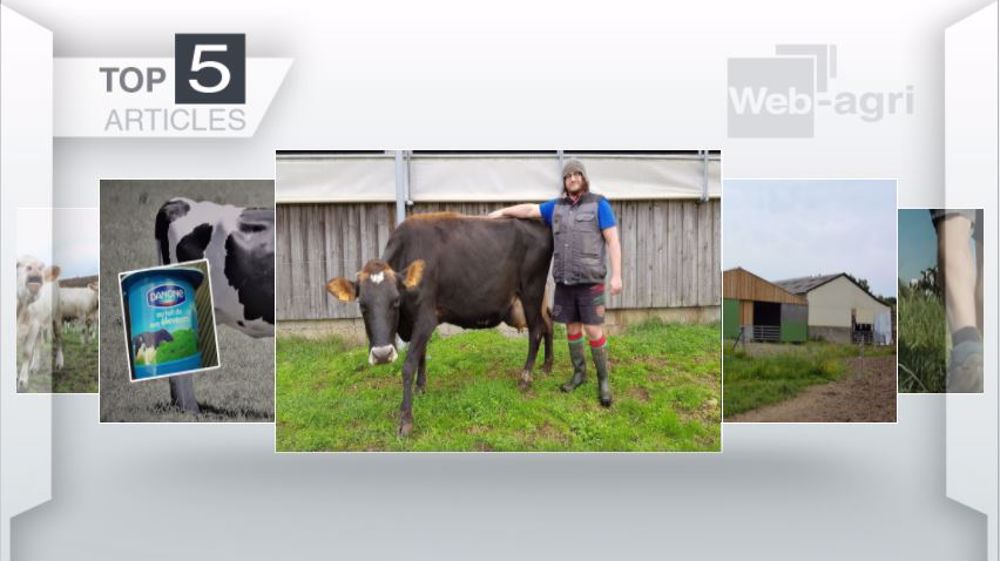 Articles les plus lus sur Web-agri cette semaine. (©Terre-net Média)