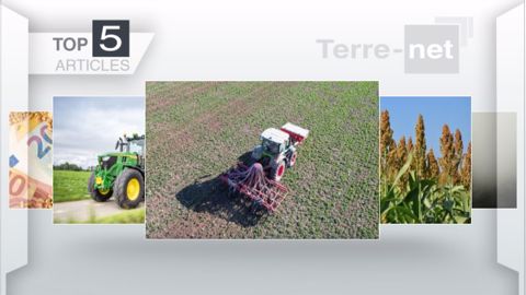 Articles les plus lus sur Terre-net cette semaine. (©Terre-net Média)