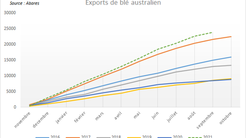 Exports de blé australien.