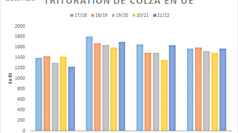 Trituration européenne de colza selon Fediol.
