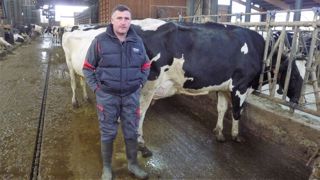 Lionel Vial, passionné de génétique, se consacre au troupeau et à la création génétique. (©Terre-net Média) Lionel Vial, passionné de génétique, se consacre au troupeau et à la création génétique. (©Terre-net Média)