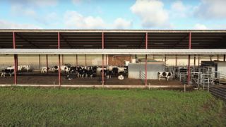 Bâtiment d'élevage : ils ont opté pour une aire paillée en litière malaxée Bâtiment d'élevage : ils ont opté pour une aire paillée en litière malaxée