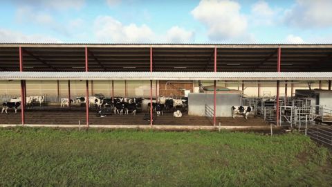 Bâtiment d'élevage : ils ont opté pour une aire paillée en litière malaxée Bâtiment d'élevage : ils ont opté pour une aire paillée en litière malaxée