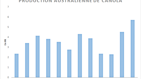 Récolte de canola australien.