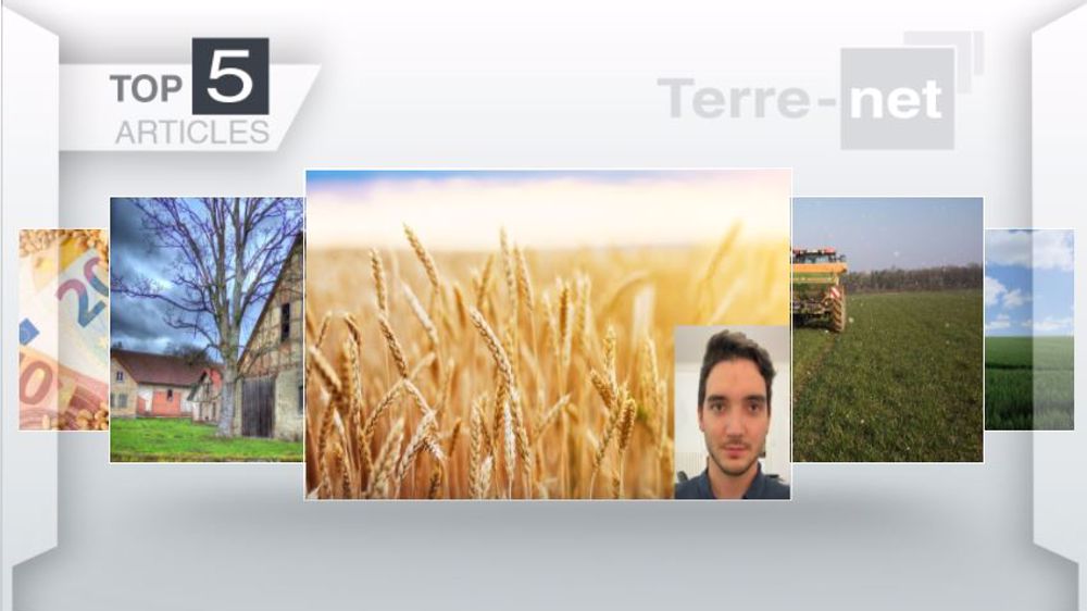Articles les plus lus sur Terre-net cette semaine. (©Terre-net Média)