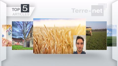 Articles les plus lus sur Terre-net cette semaine. (©Terre-net Média)