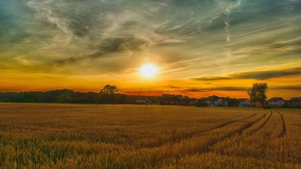 Les températures ont augmenté de + 1,7 °C depuis 1990 en France. (©Pixabay)