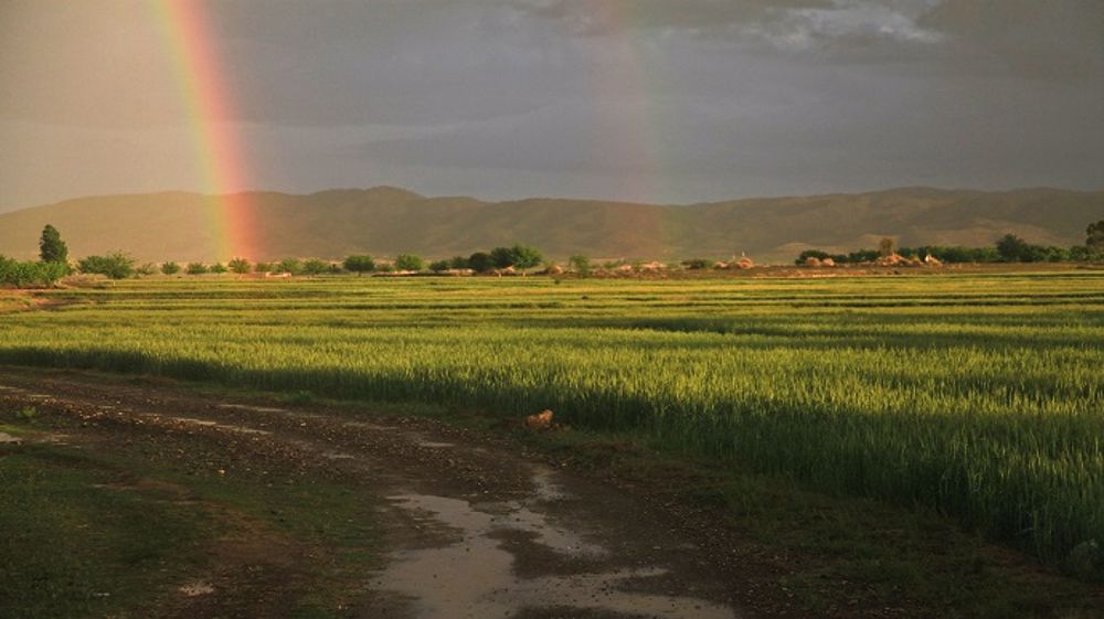 La bonne alternance de pluies et de soleil profite aux cultures. (©Pixabay)