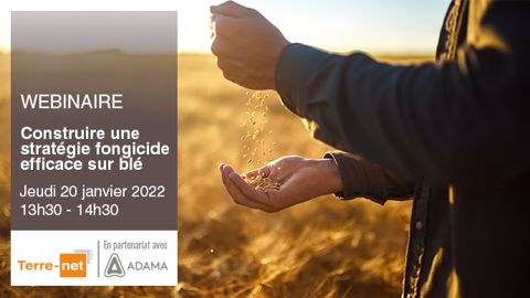<a href="https://attendee.gotowebinar.com/register/485903195148089868?source=art" title="Inscription au webinaire" target="_blank">Inscrivez-vous au webinaire</a> sur la protection du blé en 2022. (©La Factory)<span style="font-size: 14px; text-align: justify; color: #000000;"> 