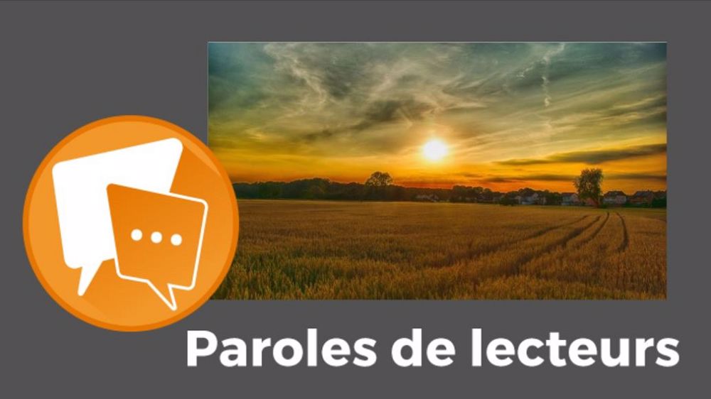  « L'agriculture fait partie des solutions pour réduire les GES. Malheureusement, nos dirigeants ne l'ont pas compris », avance nanard3. (©Pixabay // Création Terre-net Média)