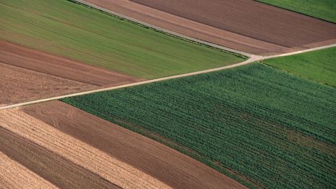D'après le SSP, les surfaces semées en céréales pour la récolte 2022 accuseraient un léger repli par rapport à l'an dernier (©Pixabay)
