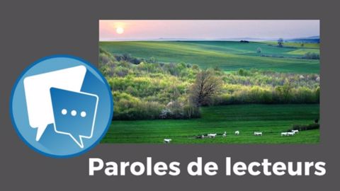  « Les éleveurs français sont les plus pressurés en Europe par la grande distribution, les normes écologiques, l'agribashing (...) et j'en passe. Nos amis européens se demandent comment on survit », fait remarquer Pierre Lepage. (©Terre-net Média)