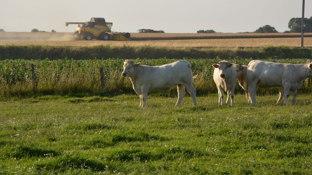 « L’objectif est de re-concevoir le système en mettant au même niveau de priorité la préservation de l’agro-écosystème et la production de biens alimentaires. » (©Terre-net Média)