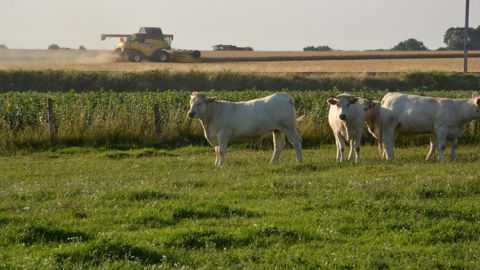 « L’objectif est de re-concevoir le système en mettant au même niveau de priorité la préservation de l’agro-écosystème et la production de biens alimentaires. » (©Terre-net Média)