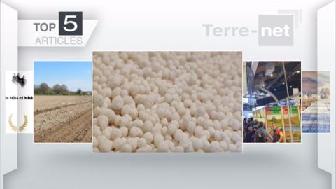 Les articles les plus lus de la semaine. (©Terre-net Média)