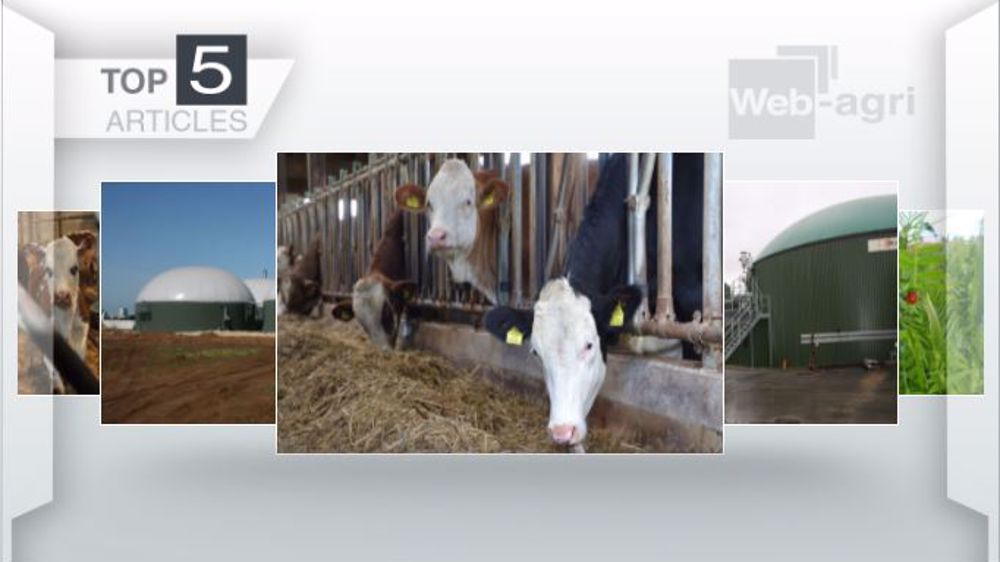 Articles les plus lus sur Web-agri cette semaine. (©Terre-net Média)