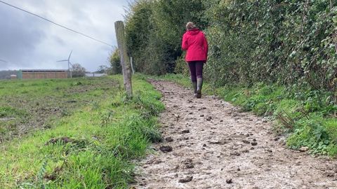 De nombreux organismes proposent des formation agricoles variées pour se perfectionner dans son métier. (©Terre-net Média) De nombreux organismes proposent des formation agricoles variées pour se perfectionner dans son métier. (©Terre-net Média)