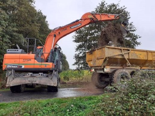 plantation de haies dans les prairies