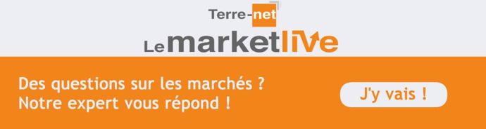 Market Live