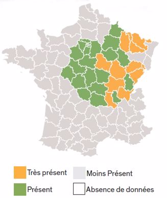 Répartition géographique du bleuet.