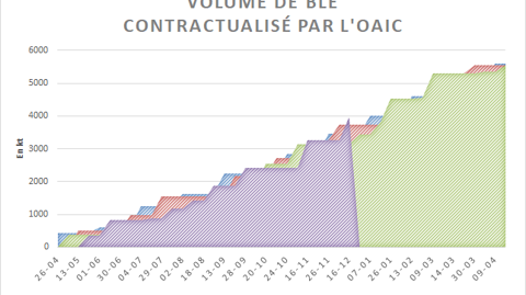 Volume de blé contractualisé par l'OAIC.