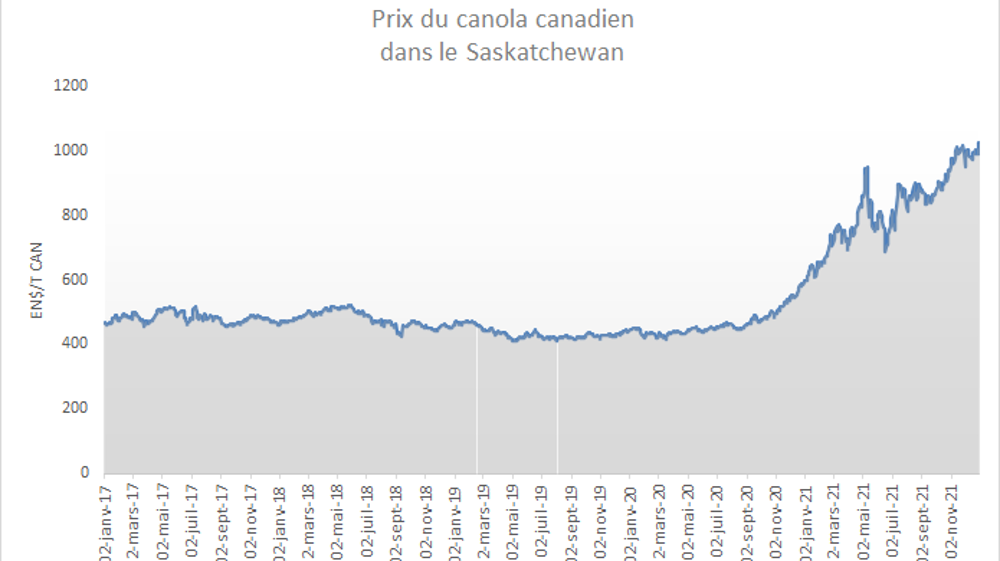 Prix du canola canadien.
