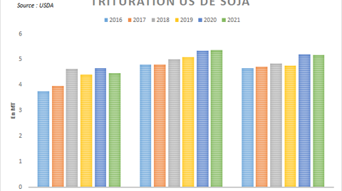 Trituration américaine de soja.