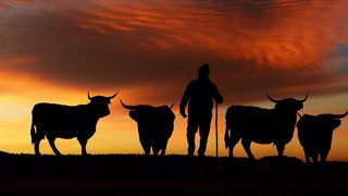 L'avenir s'annonce sombre pour les éleveurs allaitants. (©Pixabay) L'avenir s'annonce sombre pour les éleveurs allaitants. (©Pixabay)